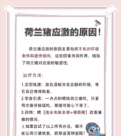 猪应激会出现什么症状