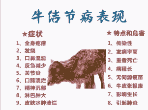 冬天牛容易得什么病