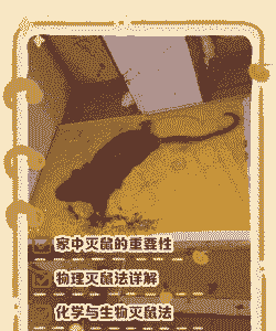 猪舍灭老鼠有什么办法