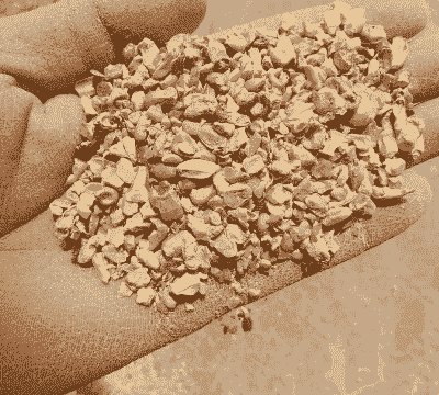 玉米净粮什么意思