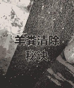 洋洋的清除饲料什么处理