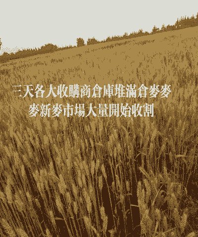 湖北小麦什么时候下来