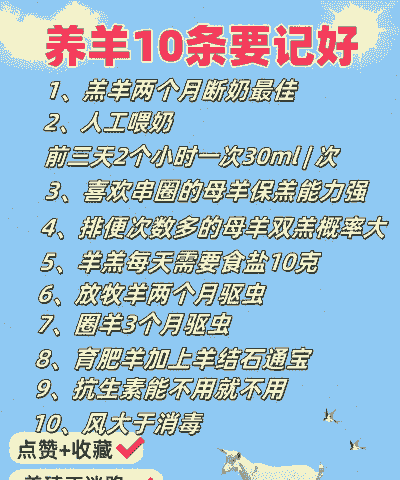 养羊的效益是什么