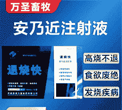 猪发烧了用什么药