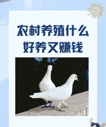 农村养什么好赚钱啊