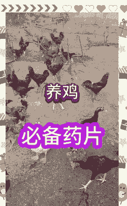 捕原鸡用什么药