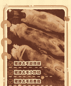 猪吃什么才能皮毛光亮