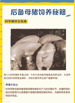 母猪喂料有什么用
