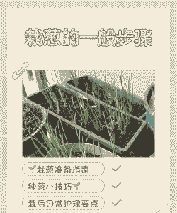 分葱什么时候移栽最好