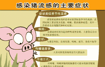猪感冒了会有什么病毒
