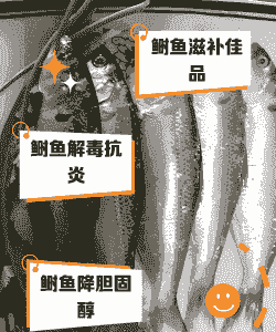 美国鮰鱼吃什么饲料