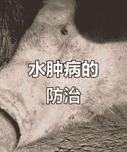 猪的水肿症状是什么