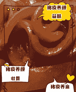 猪皮肤是什么组成的