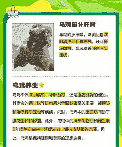 家养的肉鸡有什么营养