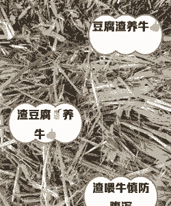 牛吃豆粕起什么作用