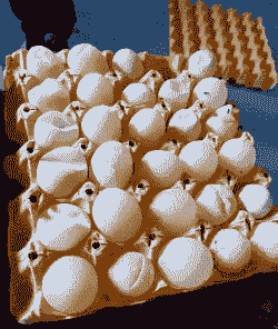 鸡下软皮蛋吃什么