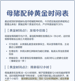 猪场喂猪什么时间最佳