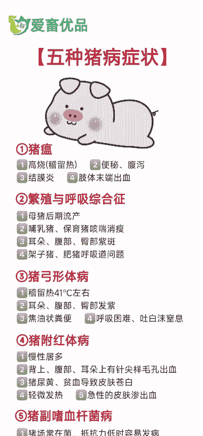 为什么家猪容易生病