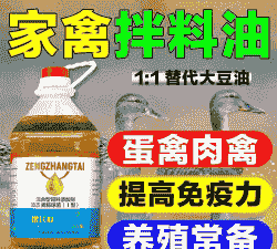 鸡饲料添加什么油脂好