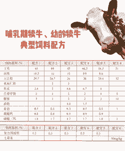 犊牛的饲料配方是什么