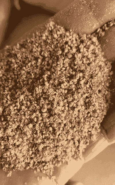 米糠那里有得买什么价格