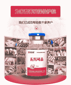 豪猪拉稀喂什么药呢