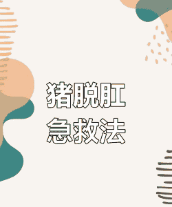 母猪产后脱肛怎么治