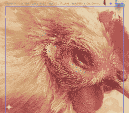 鸡为什么会肿眼睛