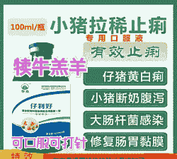 仔猪黄白痢口服什么药