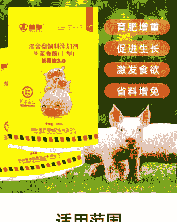 肥猪用什么饲料长快