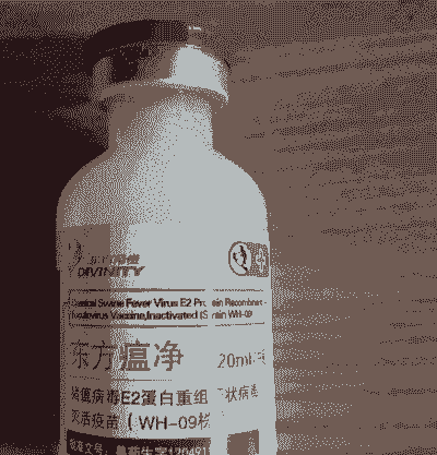 猪注射疫苗用什么消毒