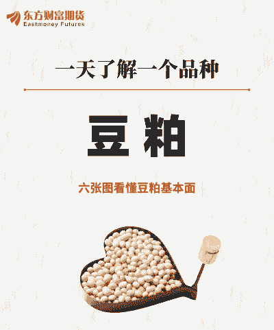 传是为什么低豆粕