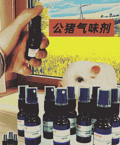 猪张嘴出气用什么药