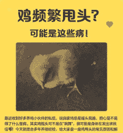鸡频繁甩头是什么病