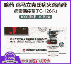 小鸡出壳打什么疫苗