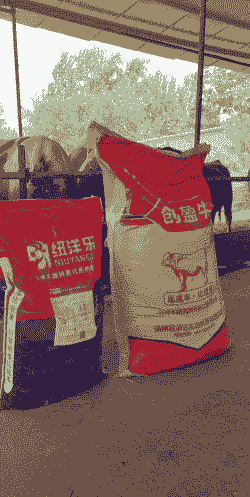喂牛饲料什么品牌好