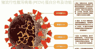 畜牧ped是什么意思