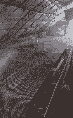 养殖鹅大棚用什么消毒