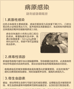 鸡为什么会得嗉囊胀气