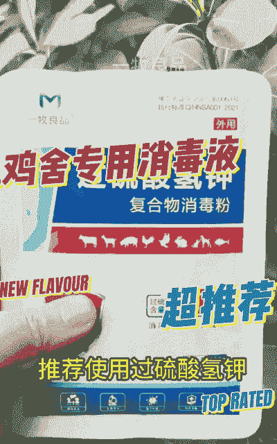 肉鸡用什么消毒液