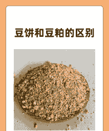 豆粕洗船什么意思