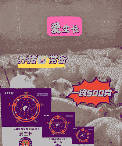 用什么料养猪生长快