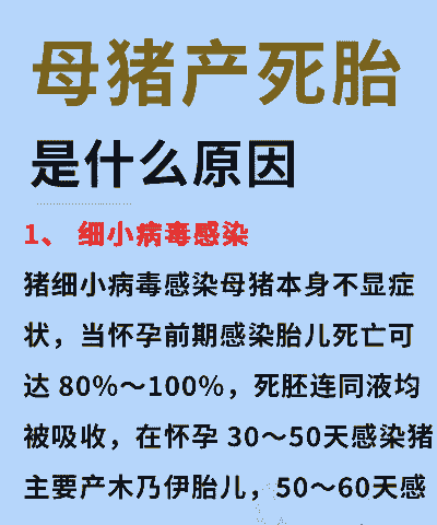 母猪产仔为什么会死