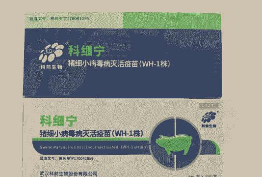 猪细小吃什么药