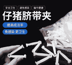 猪扎脐带用什么好