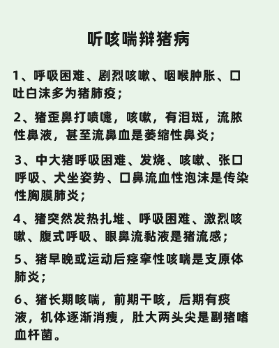 猪什么病会引起咳嗽