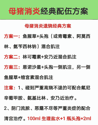 母猪发烧配什么药好