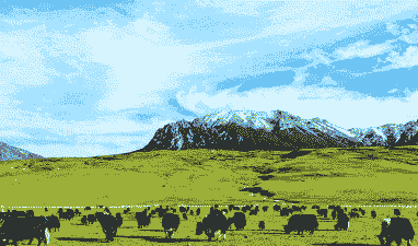 青藏高原牧业养殖什么