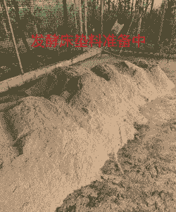 鸡发酵床用什么材料