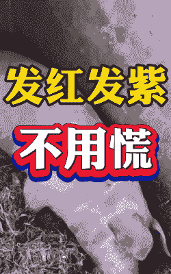 猪浑身发紫什么原因